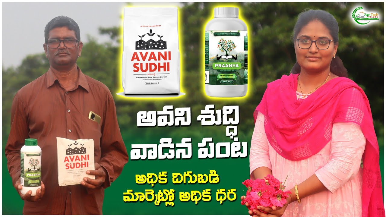 అవని శుద్ధి తో అధిక దిగుబడి అధిక రాబడి | Best Results With Avani Sudhi Soil Expert | AgriTech Telugu