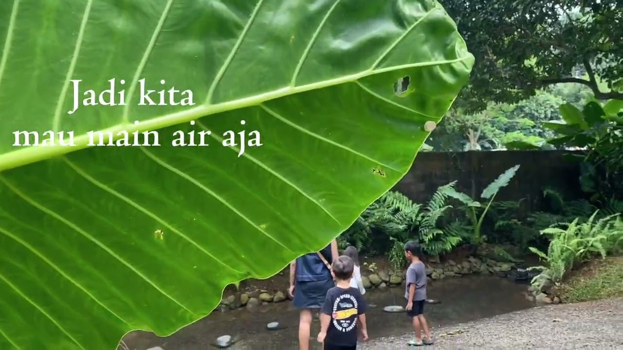 Bermain di tansu parung