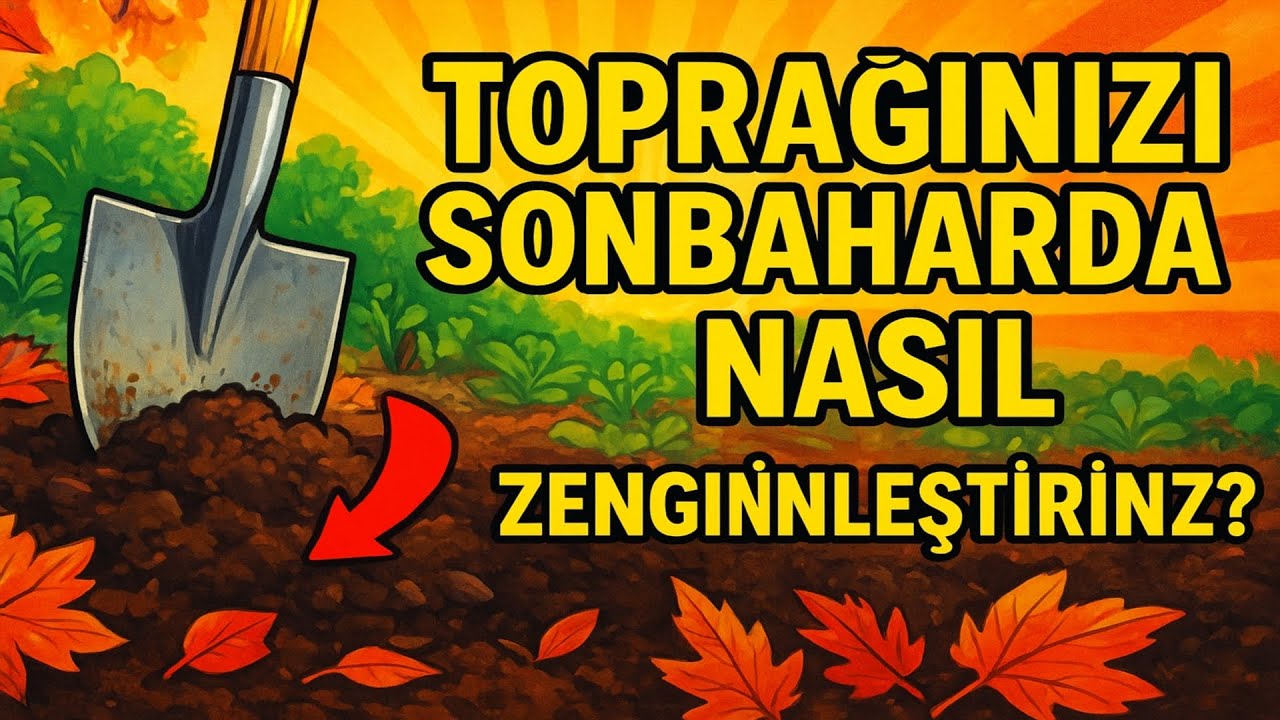 Toprağınızı sonbaharda nasıl zenginleştirirsiniz? 🌱 Hasadı düşüren yaygın bahçıvan hataları.