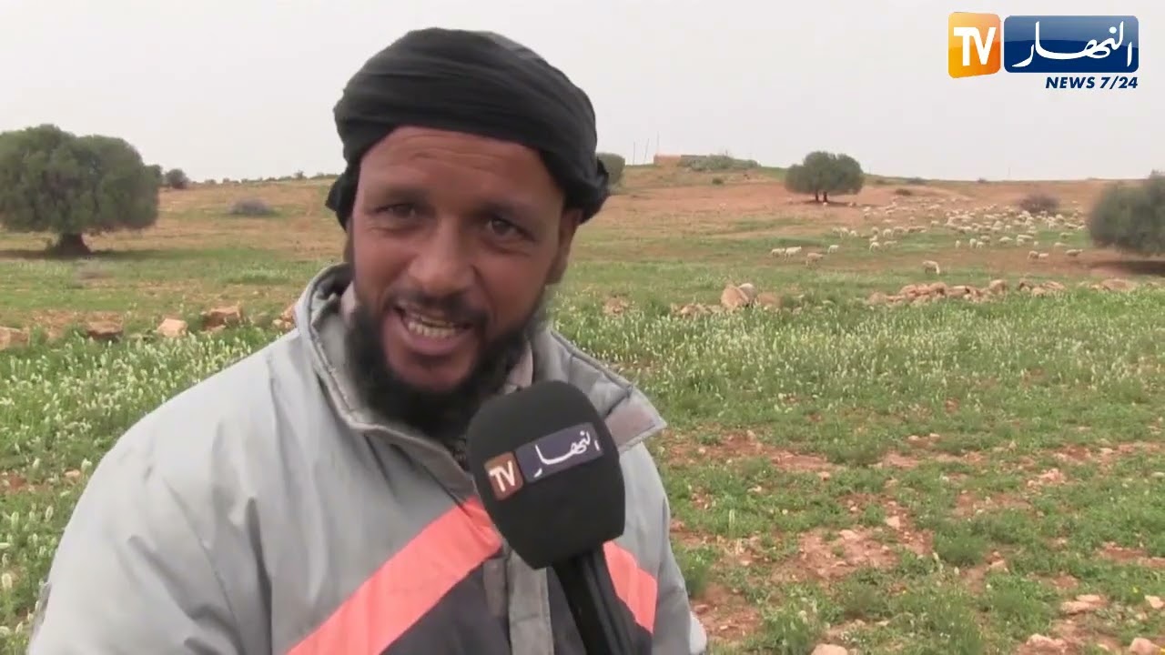 سعيدة: عصام لعرج.. يوميات مع راعي الأغنام رغم مشقة الصيام