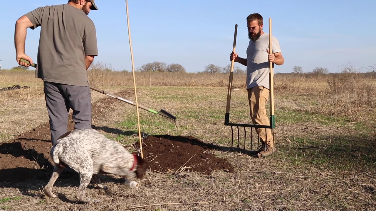Tilling New Beds with a Broad Fork