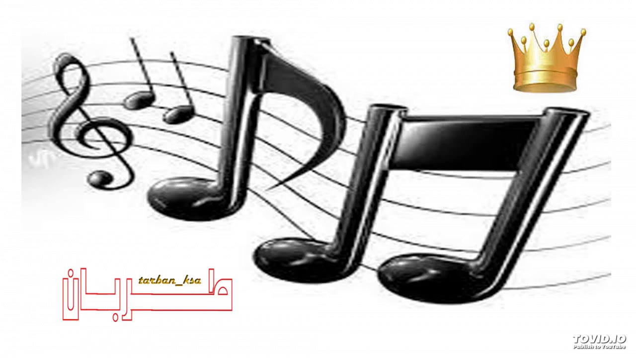 فادي القرني - الناقة
