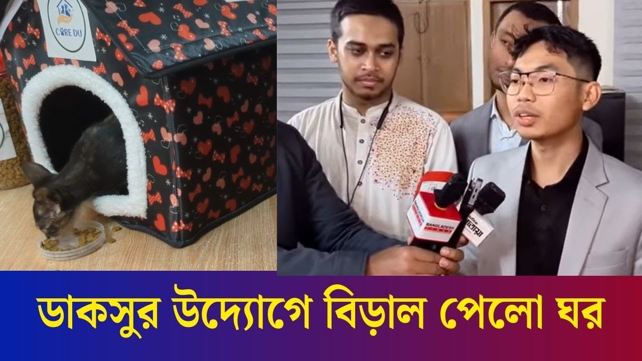 শীতে বিড়ালের জন্য ঢাবির হলগুলোতে ডাকসুর পক্ষ থেকে শেল্টারবক্স বিতরণ | DU | Daily Karatoa