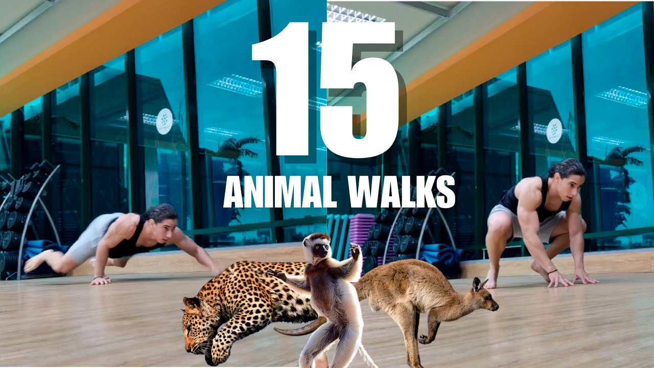 15 Movimientos de animales para FUERZA y RESISTENCIA total del cuerpo