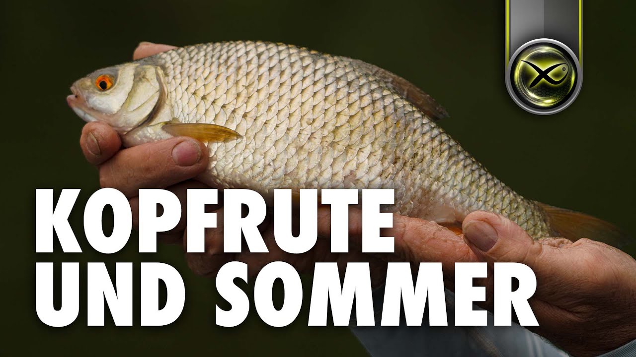 ES LÄUFT! Mit der KOPFRUTE am stehenden Gewässer