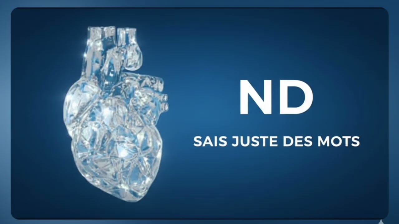 Vector nd- sais juste des mots