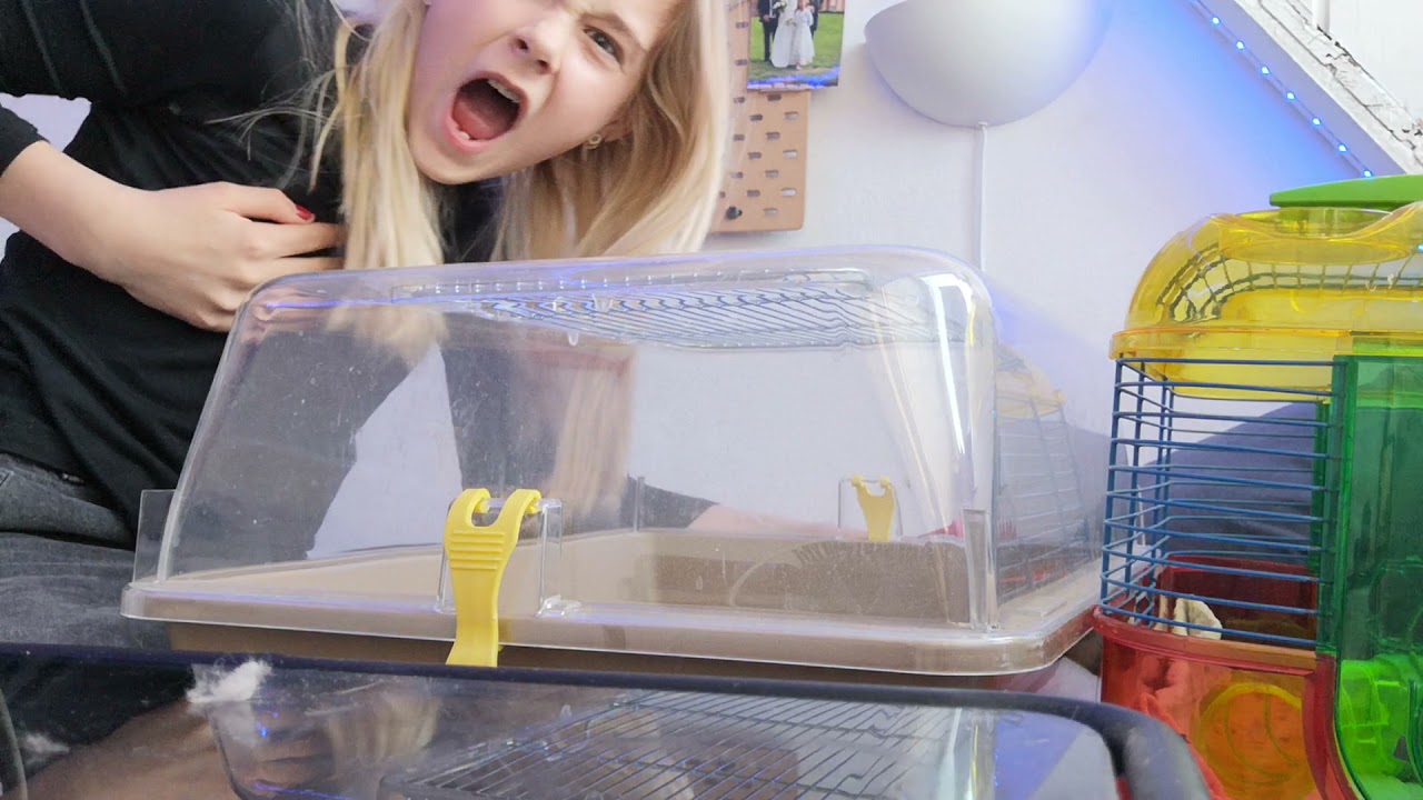 Hamsterbur med den m&aelig;rkelige mig som altid