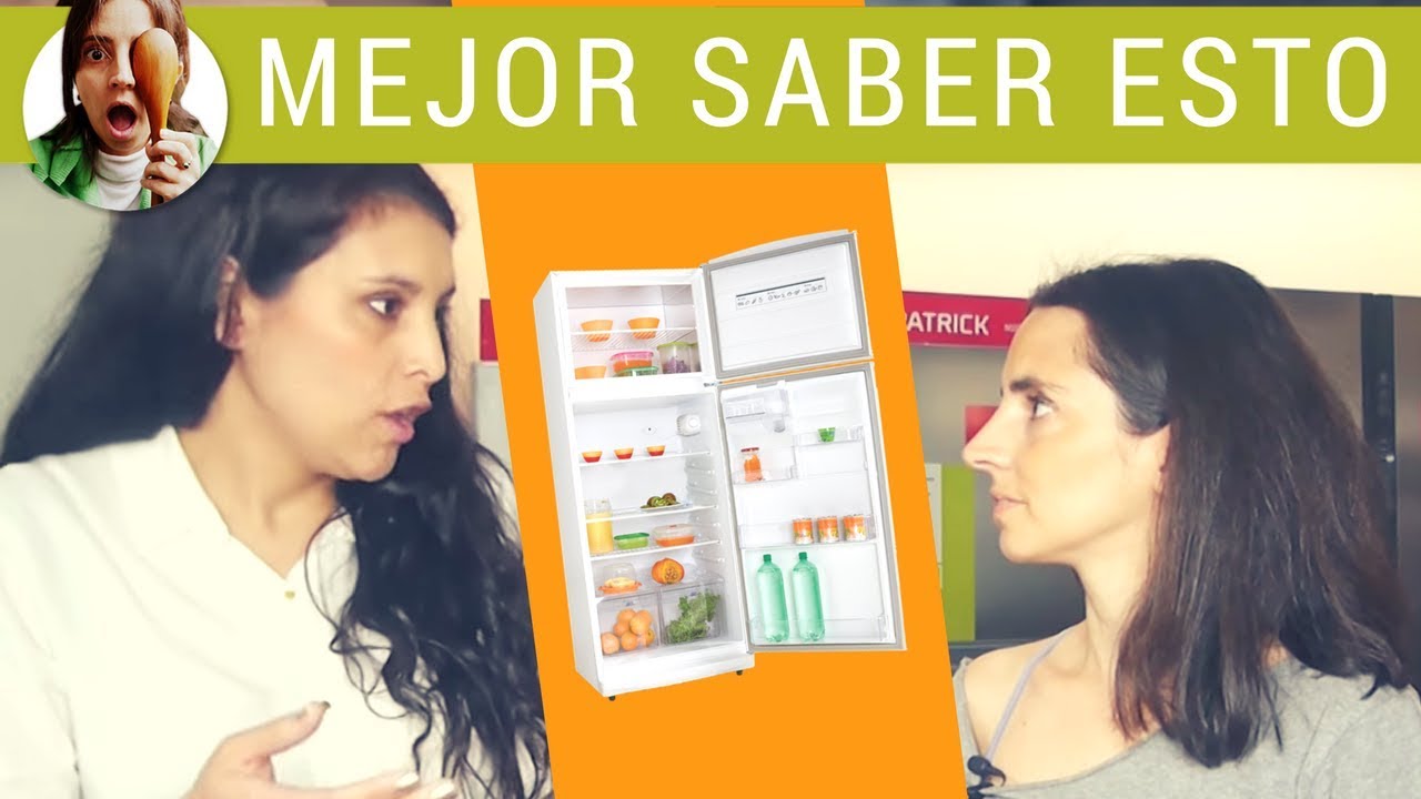 LO IMPORTANTE SOBRE LAS HELADERAS / NEVERAS