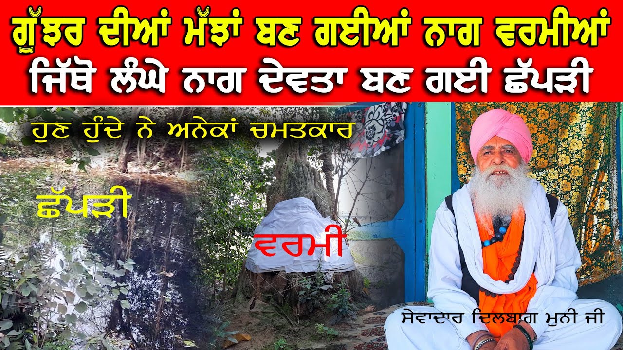 ਚਮਤਕਾਰੀ ਛੱਪੜੀ ਦਾ ਇਤਿਹਾਸ ਸੁਣੋ ਇਸ ਛੱਪੜੀ ਦੇ ਜਲ ਨਾਲ ਕਿਹੜੇ ਕਿਹੜੇ ਰੋਗ ਹੁੰਦੇ ਨੇ ਦੂਰ DPC Punjabi