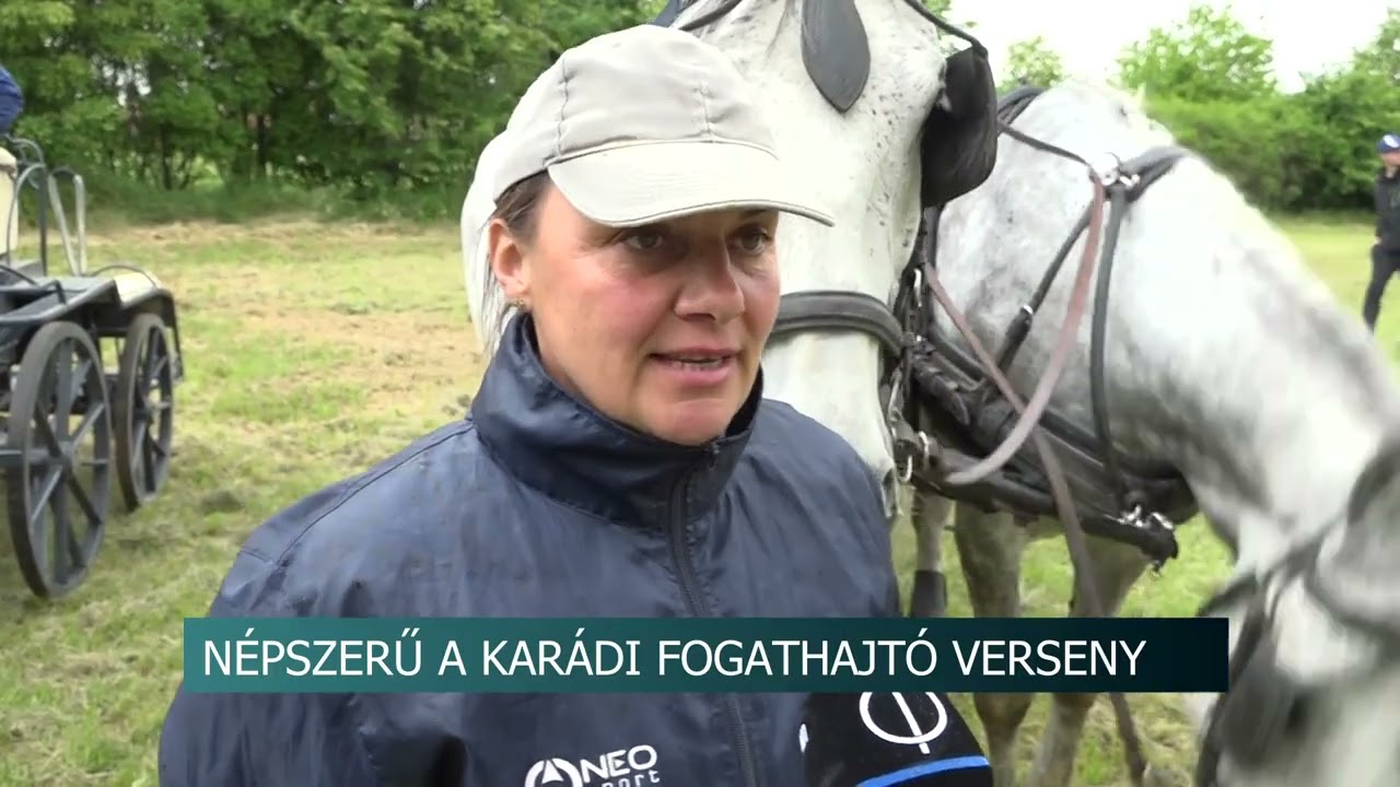 Fogathajtás - 19 csapat nevezett, Somogy Tv