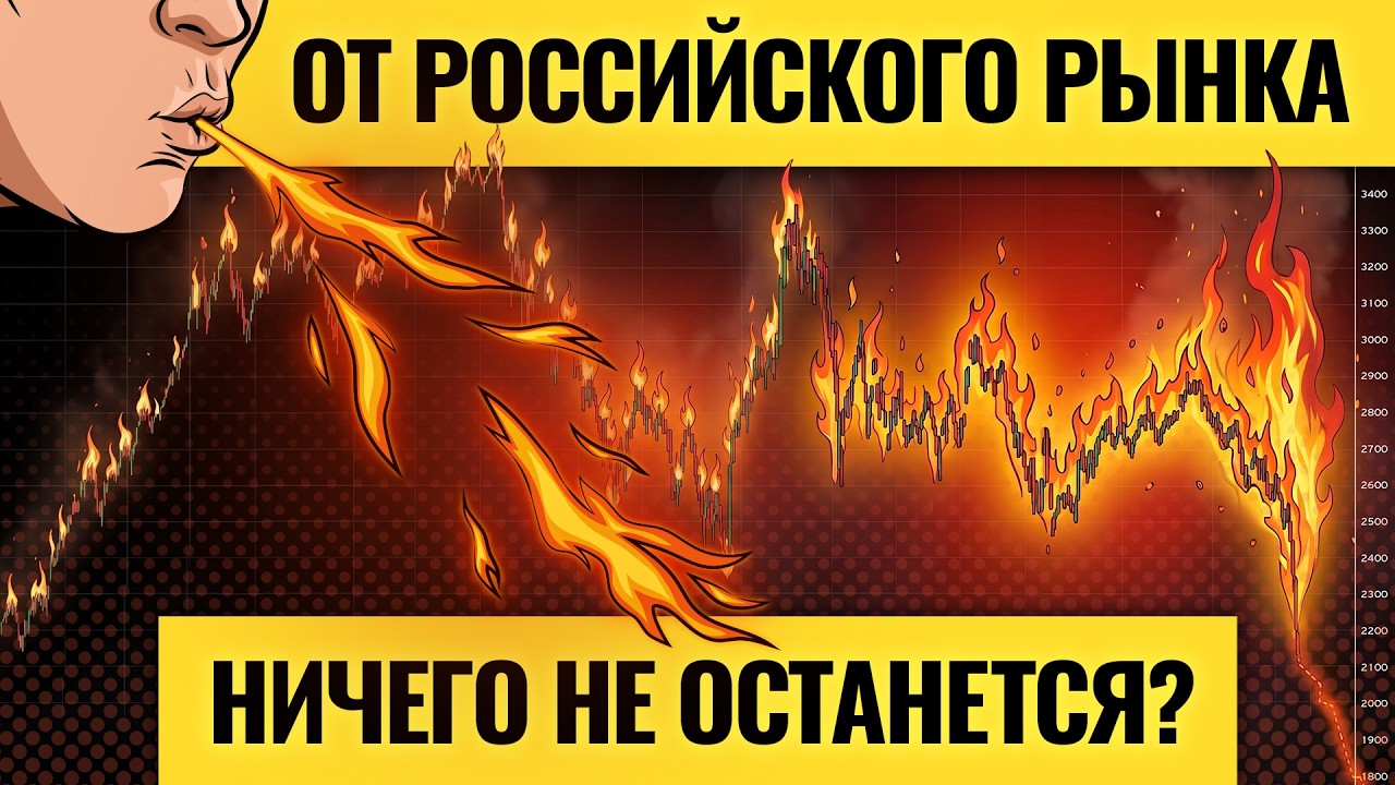 Деньги не спят. LIVE