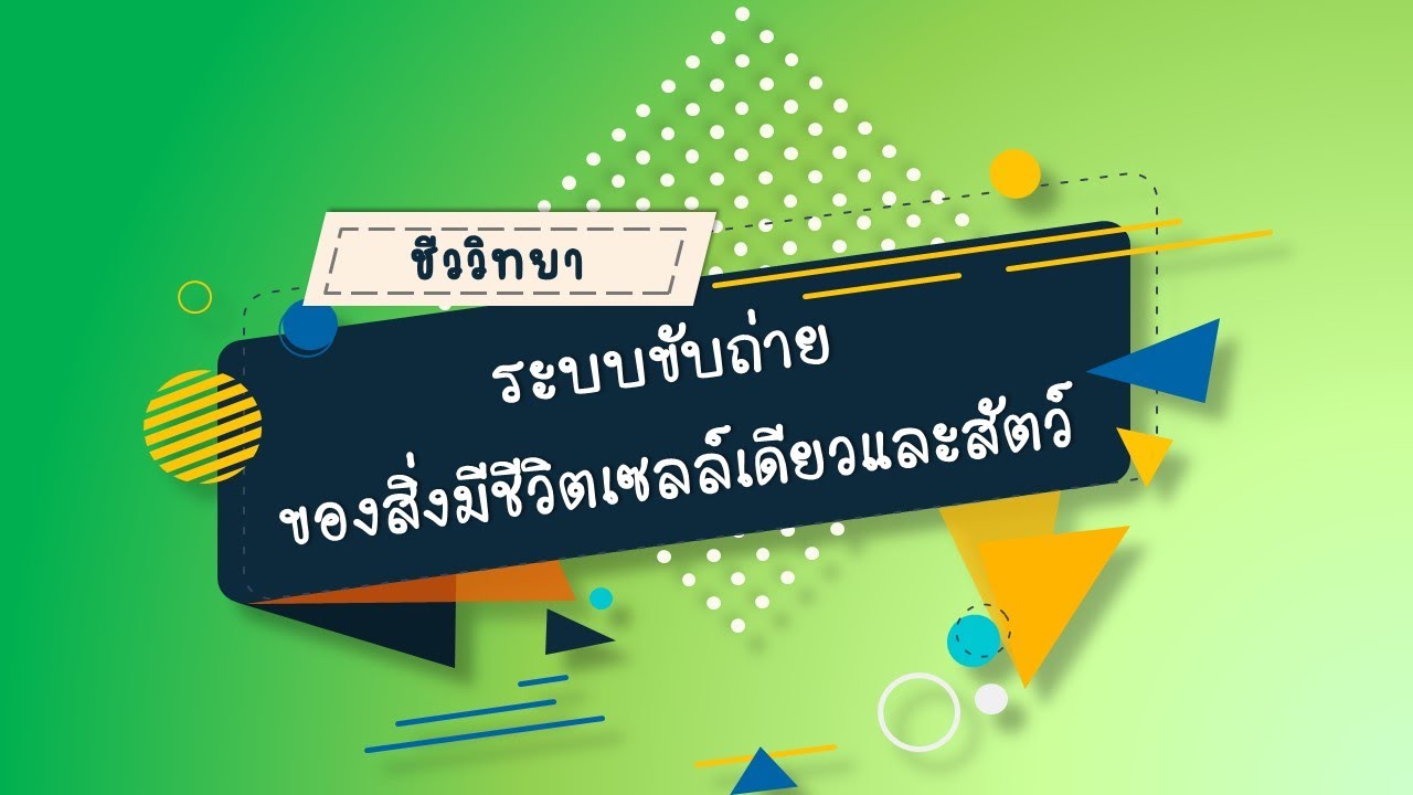 ระบบขับถ่ายของสิ่งมีชีวิตเซลล์เดียวและสัตว์ วิชาชีววิทยา ม.5