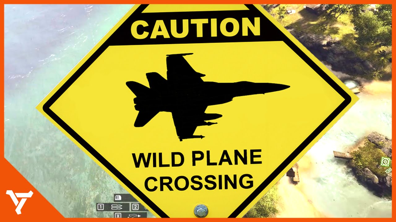Caution wild plane crossing!