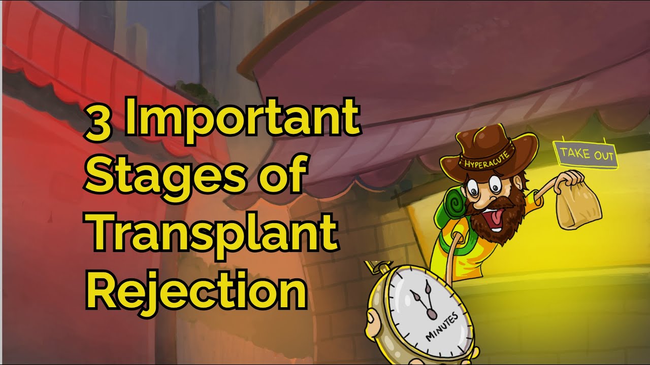 3 Important Stages of Transplant Rejection (Step 1, COMLEX, NCLEX&reg;, PANCE, AANP)