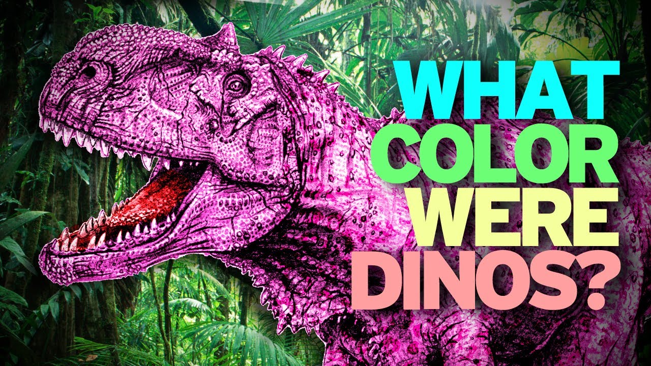 What Color Was Dinosaur Skin?