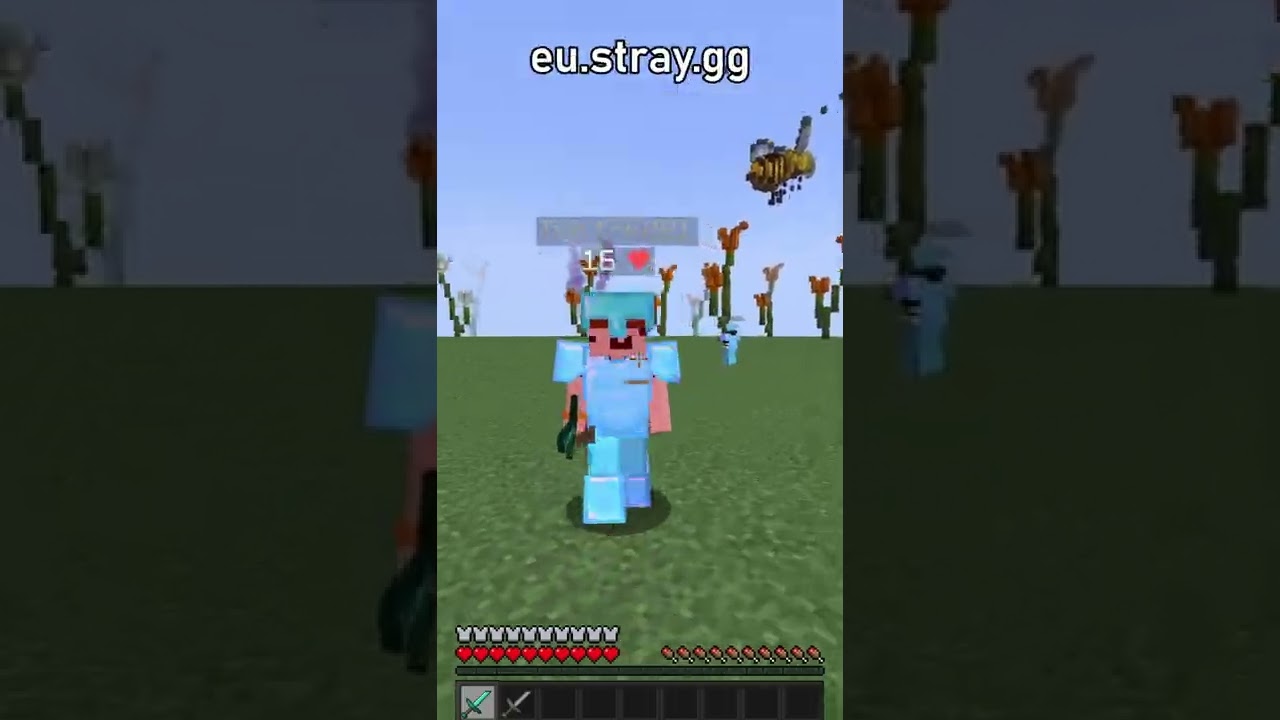 4 Serwery PvP na Minecraft 1.16 #shorts