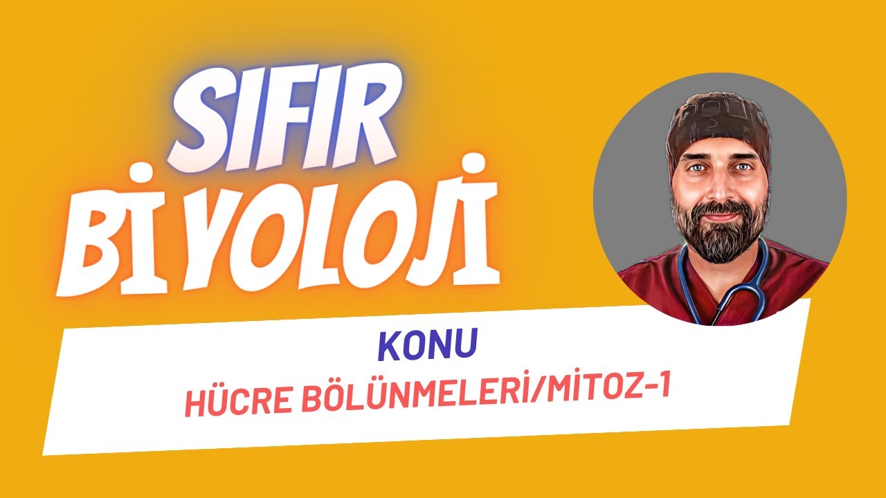 Hücre Bölünmeleri Mitoz-1 Sıfır Biyoloji | Dr. Biyoloji