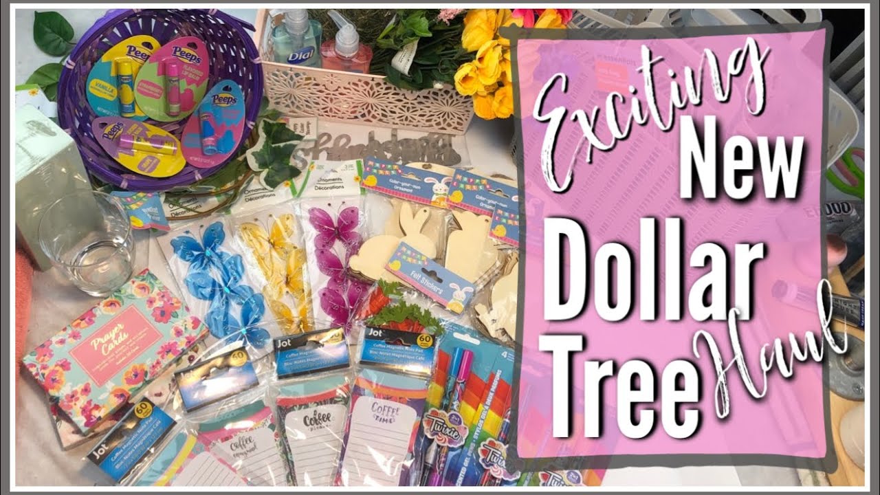 DOLLAR TREE HAUL | NEW SPRING ITEMS | DIY SUPPLIES | February 2020 | Country Girl