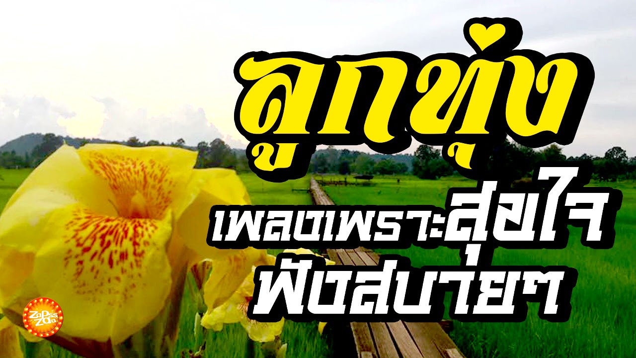 เพลงลุกทุ่งเพราะสุขใจฟังสบายๆ