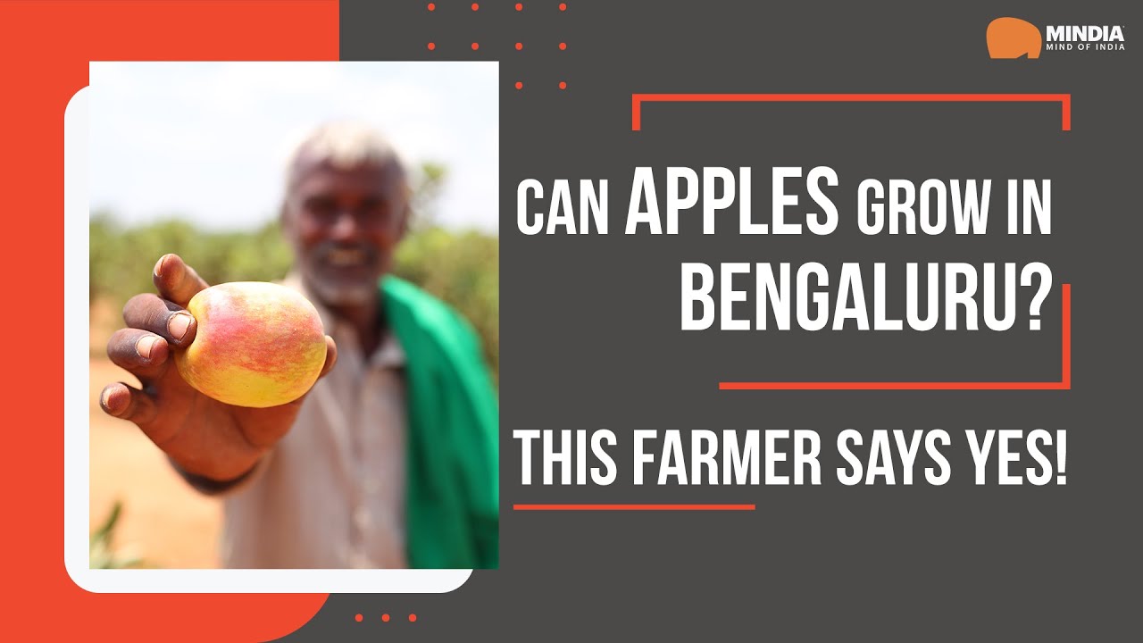 The Apple Farmer Of Bengaluru | Unexpected Harvest