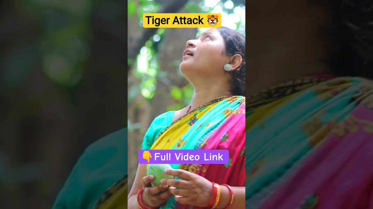 🐅 tiger attack girl in forest 🌲 #tiger #shorts #trending #tigerspotted #animals #adorablevideo