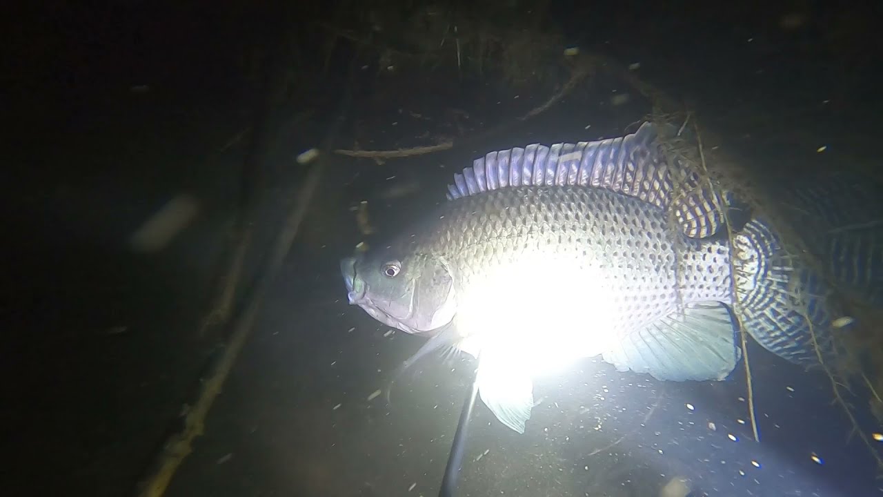 Pesca con arpon ,Montemorelos N.L