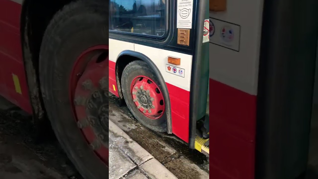 Stepping Onto An Amazing Nova Bus!!! WOW!!! 🤩