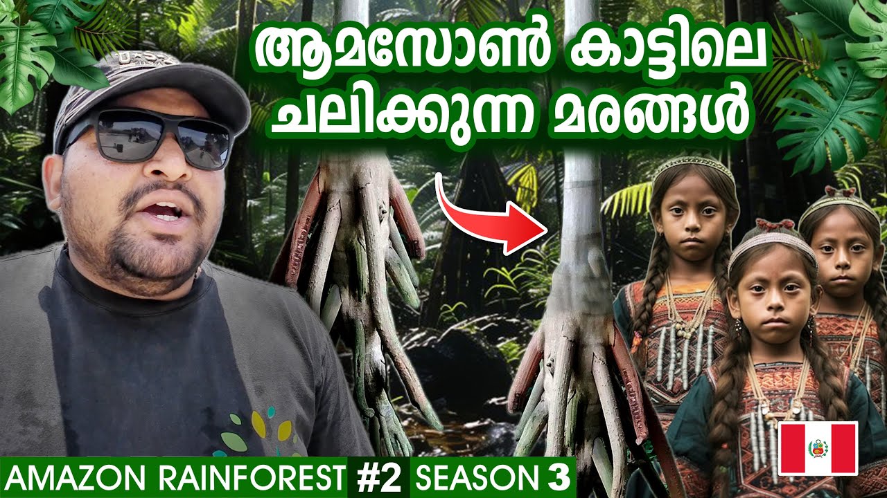 AMAZON #2 MOVING TREES IN AMAZON RAINFOREST | 🐸