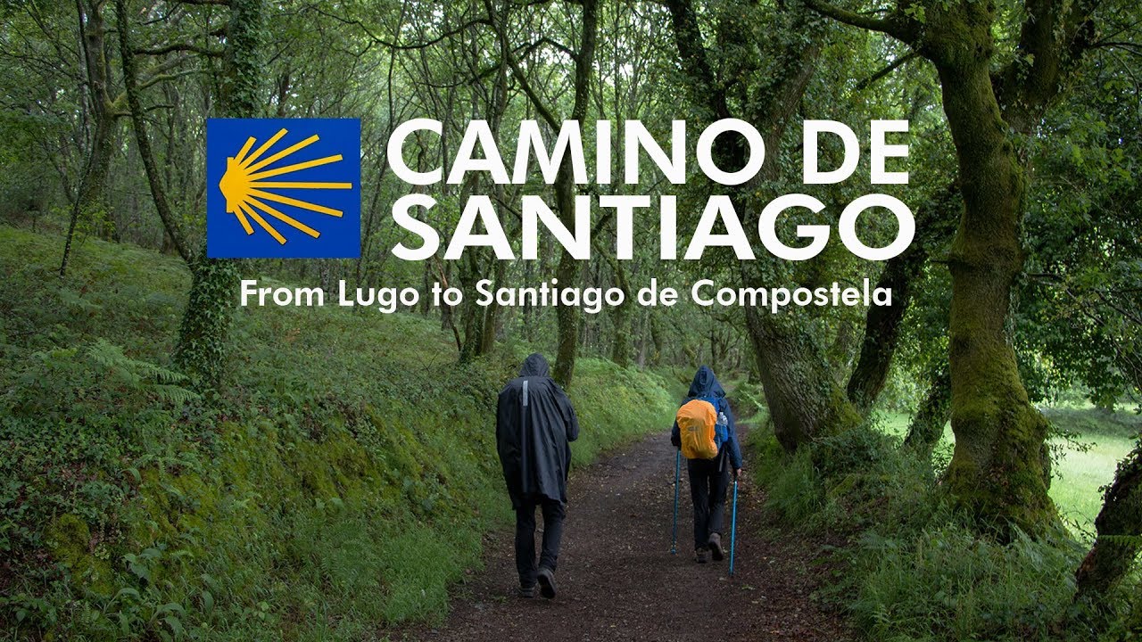Part of Camino de Santiago - From Lugo to Santiago | Droga św Jakuba