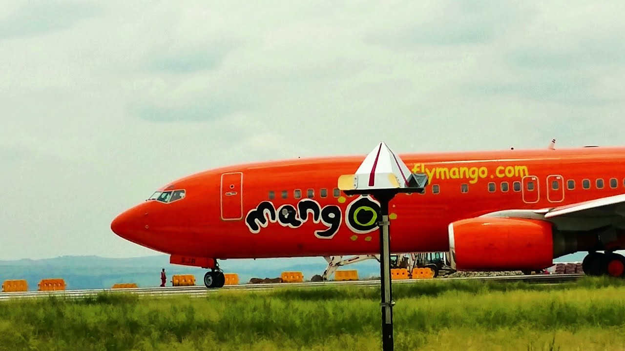 Airport Bird Management by Eagle Eye Bird Control