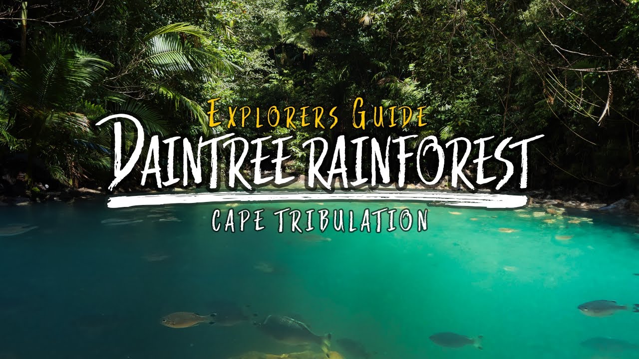 Adventure Guide to Cape Tribulation And The Bloomfield Track
