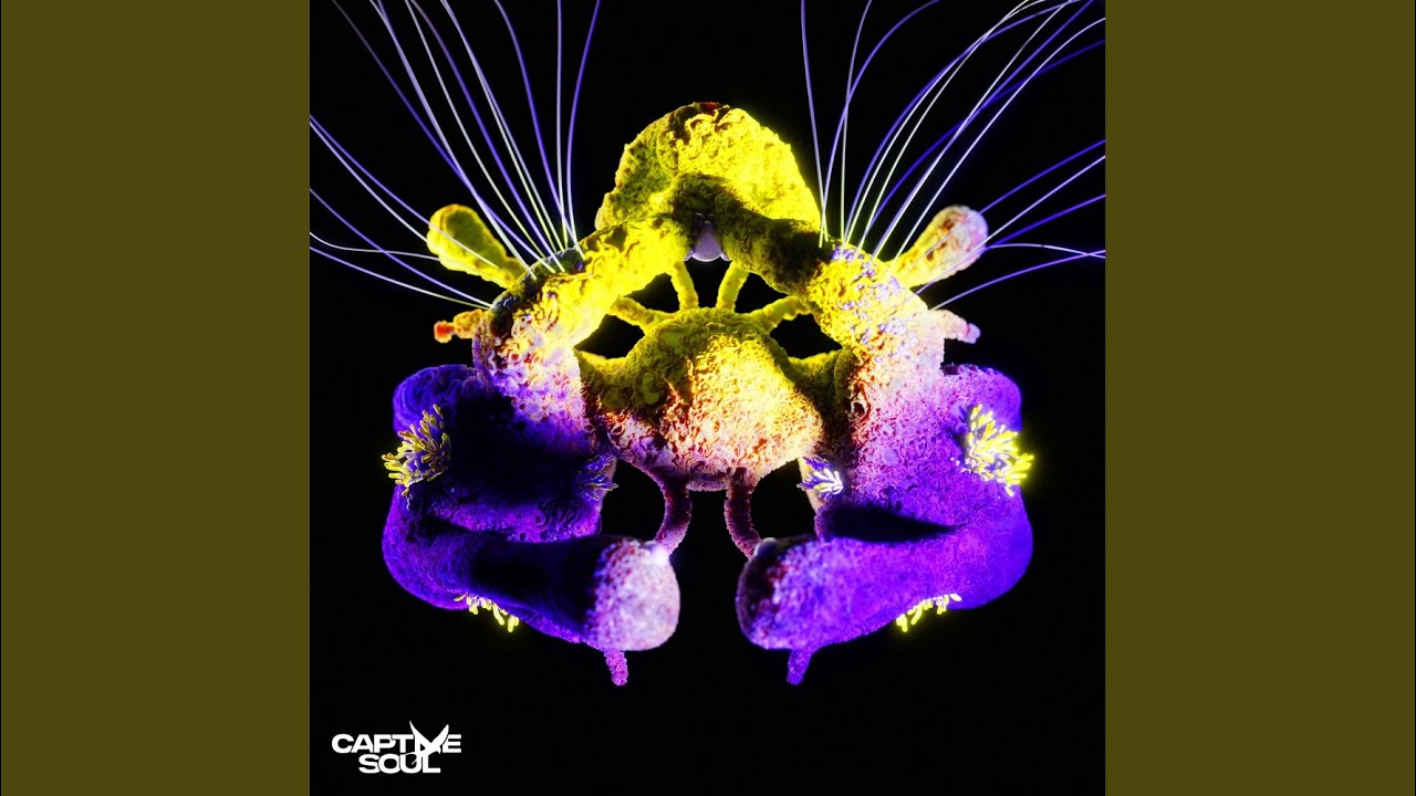 Fragments of Light (Extended Mix)