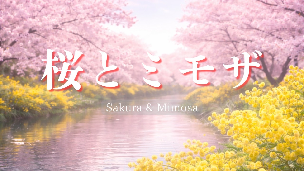 【春の作業用BGM】桜とミモザのやさしい朝｜集中・勉強・読書｜歌なし｜Window 29