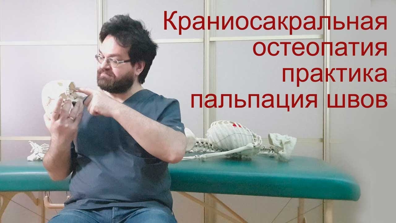 Краниосакральная остеопатия - швы черепа, пальпация швов