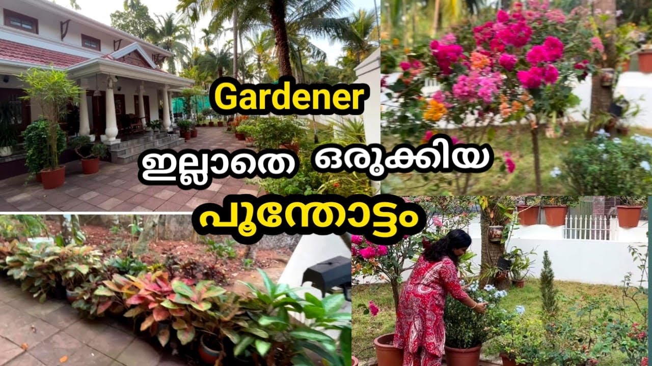 മുറ്റത്ത് സെറ്റ് ചെയ്ത ചെടികൾ കണ്ടാലോ 🥰
