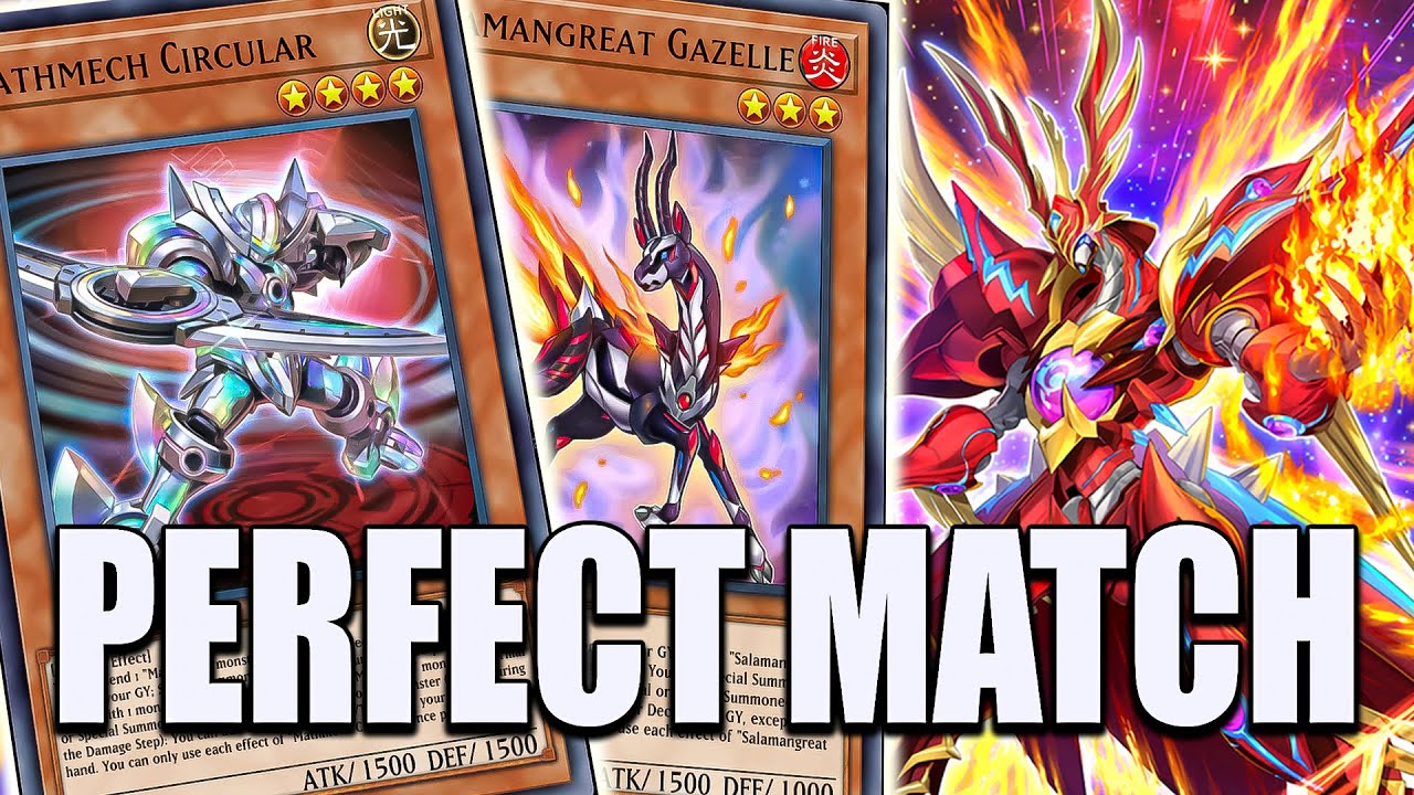 THIS DECK IS ACTUALLY INSANE - SALAMANGREAT X MATHMECH [Yu-Gi-Oh! Master Duel]