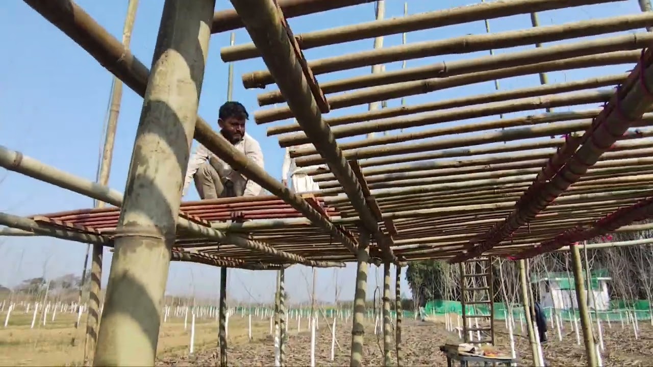 Preparation of Machaan EP-2 #youtubevideos #viralvideos #viral #youtube #camping #whitehouseinjungle