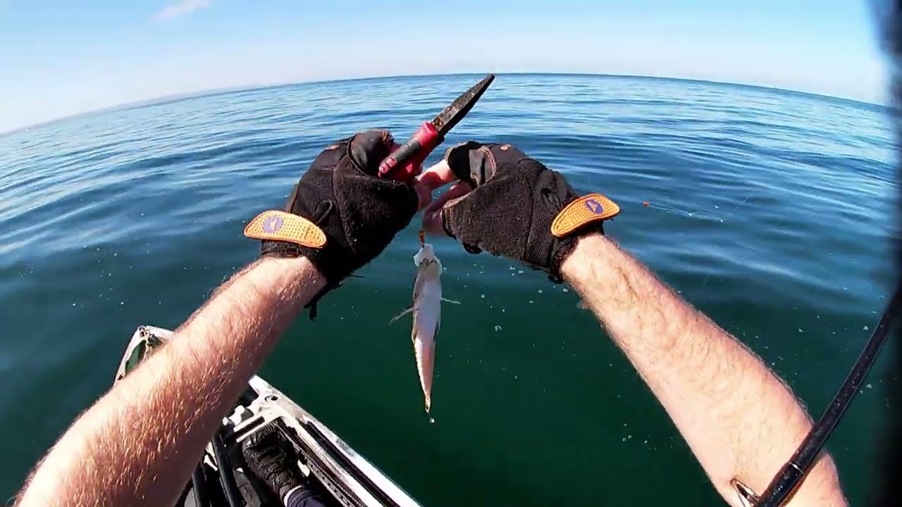 Rec Reef - Kayak Fishing - Port Phillip Bay