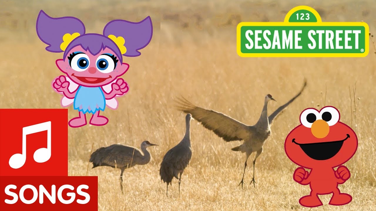 Sesame Street: Dance Like A Crane! | Animal Dance #2
