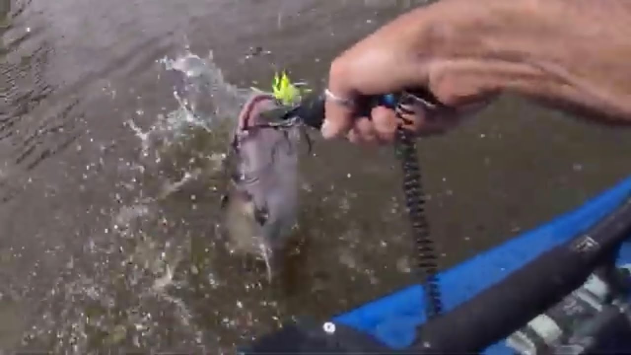 Brooklyn Kayak Year 1 Part 4: A Windy Spring, Where Catfish Find Me, I Don't Target Them