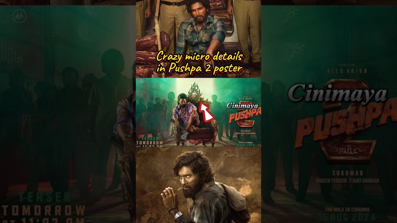Details you missed in Pushpa 2 teaser||Pushpa 2 teaser breakdown telugu||Cinimaya 