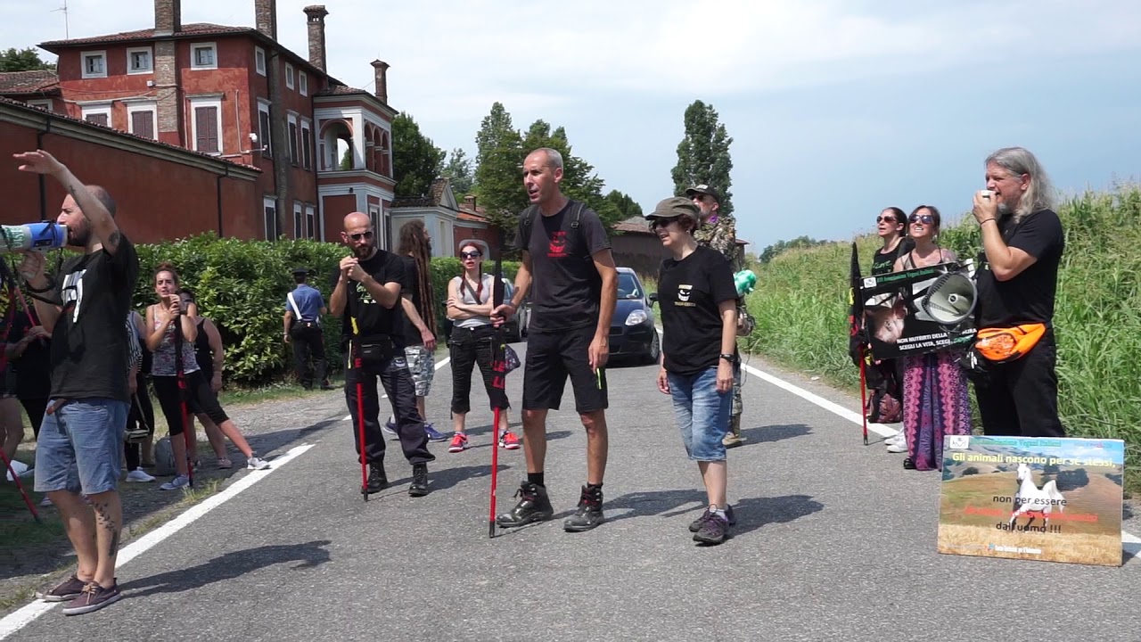 Presidio contro Ovimilk, l'allevamento di pecore di Corticelle Pieve (BS) - 27 Luglio 2019