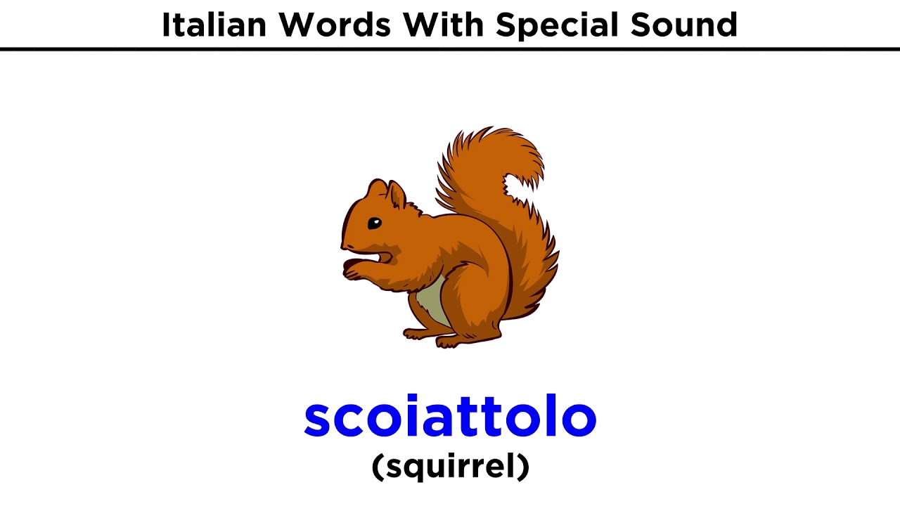 Special Sounds in Italian