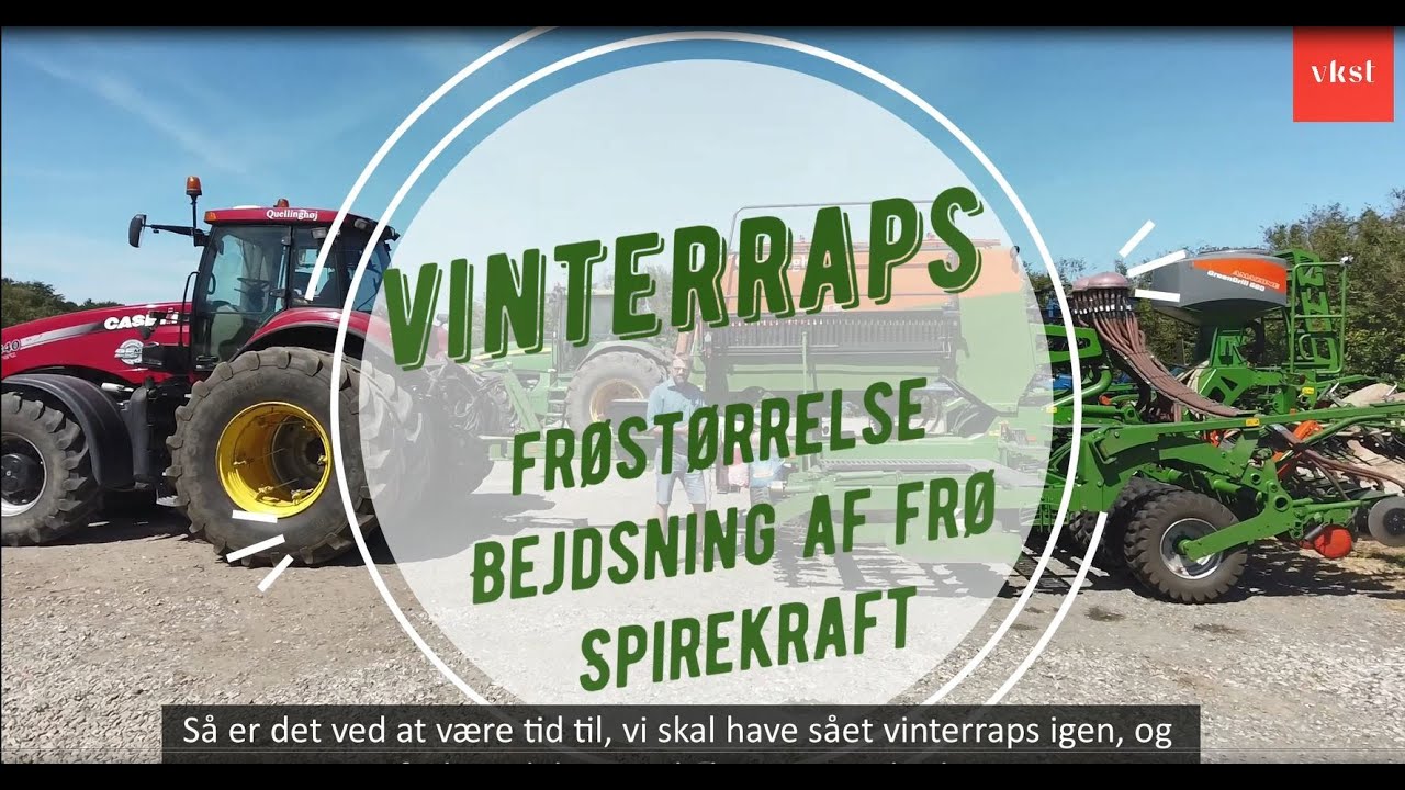Forberedelse til såning af vinterraps