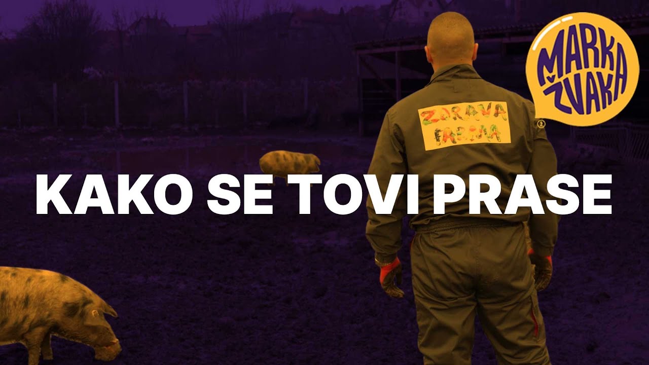 Kako se tovi prase