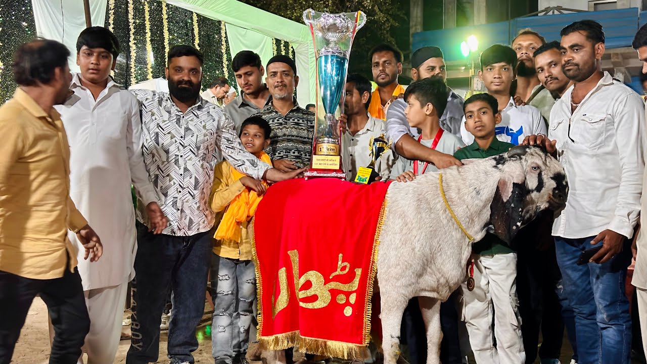 Madhya Pradesh ka sabse Bada heavy Bakra weight Gain tournament,finale,2025