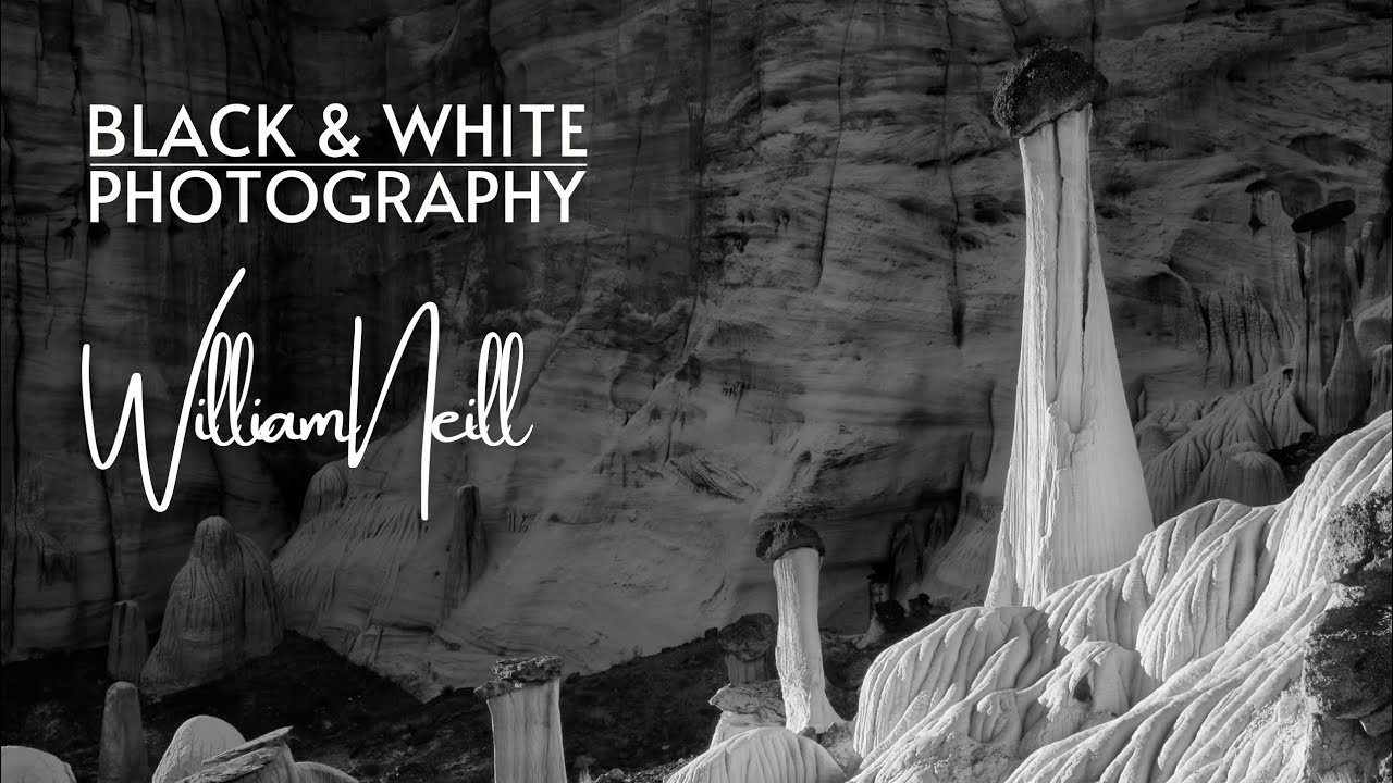 Black and White Photography - 