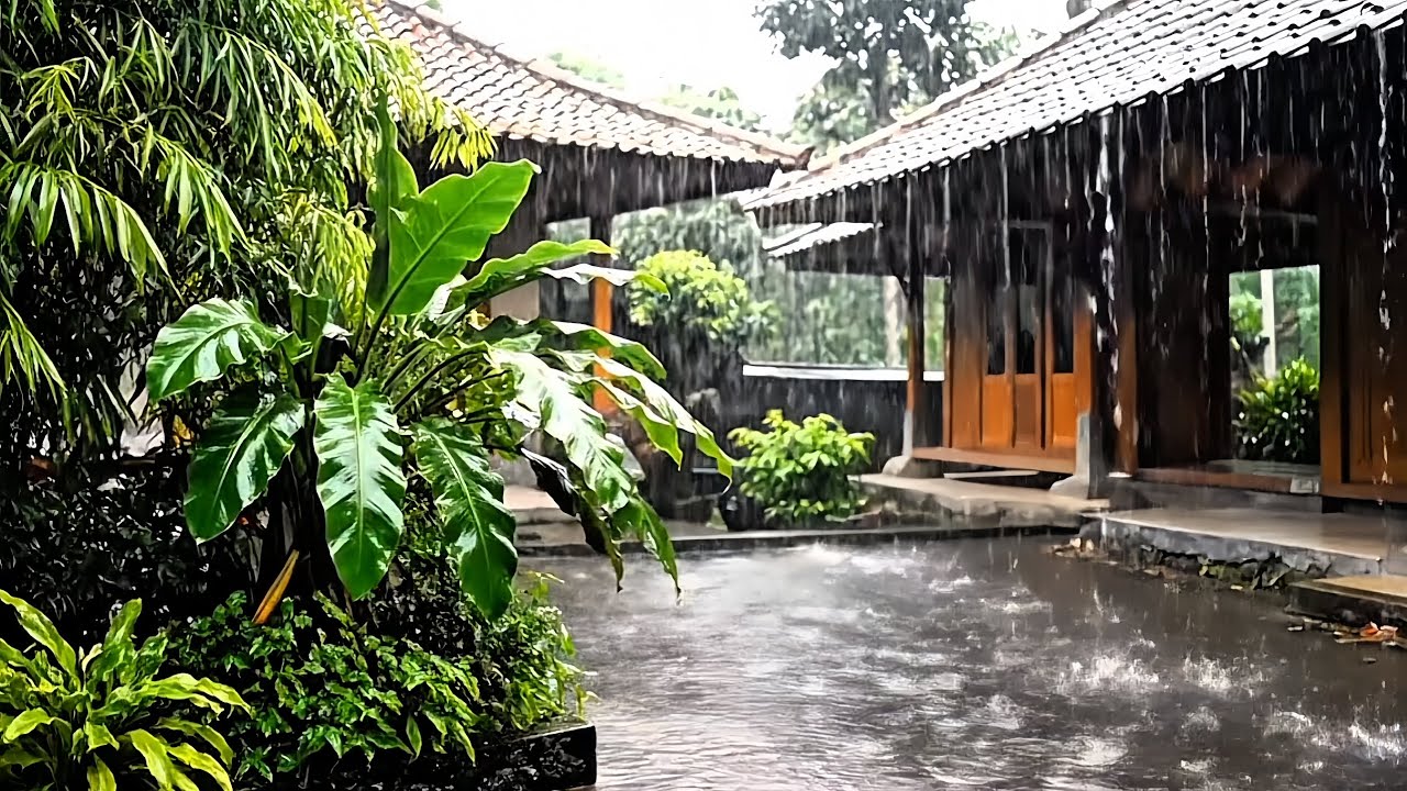 ASMR Suara Hujan Untuk Relaxing,Sleep...