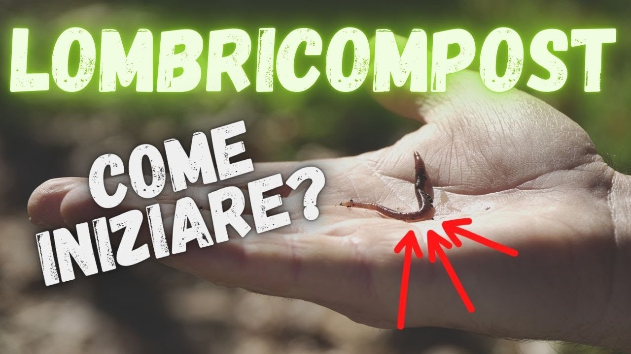 COMPOST ep.2 | COME AVVIARE UNA LOMBRICOMPOSTIERA