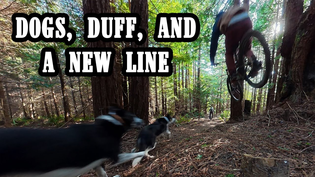 Потрясающий горный велосипед Redwood с Trail Dogs River и Райдером | Катание по бездорожью New Li...